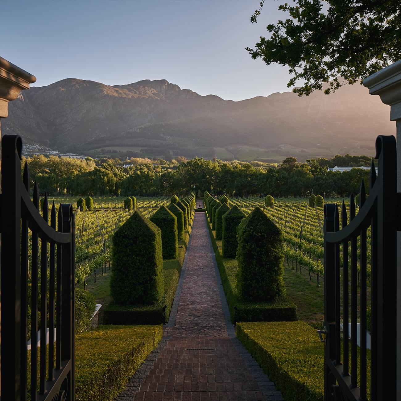 67bc557dc4d17-Leeu Estates - Landscape (36)@2x